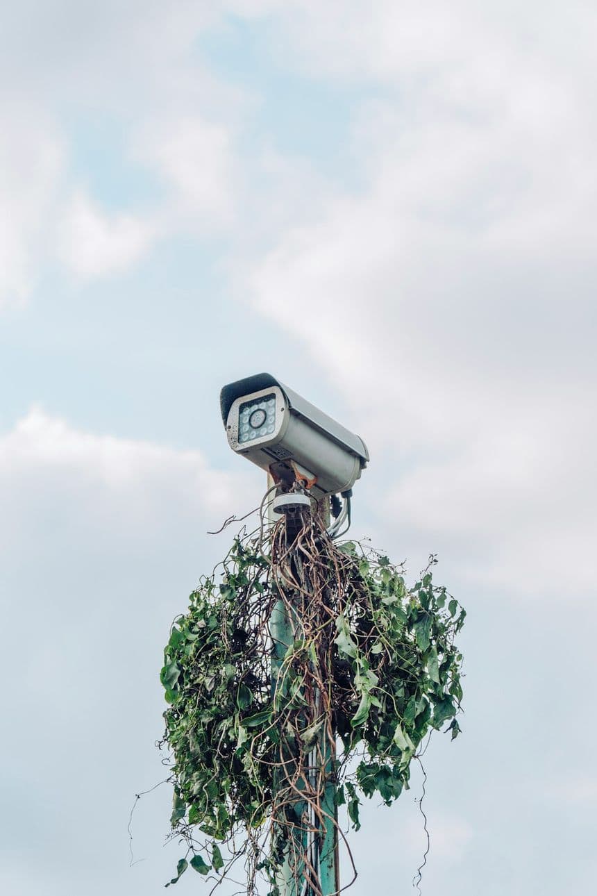 Multi-camera monitoring